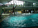 %_tempFileNamebremerhaven-swimming-pool%